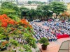 Thông báo tuyển sinh đại học